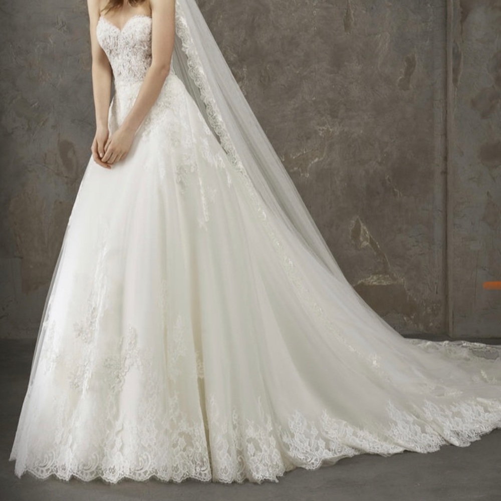 Pronovias Nimes lace sweetheart Wedding Dress Gown
